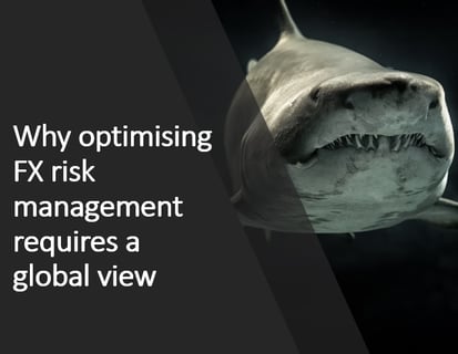 Shark Risk2